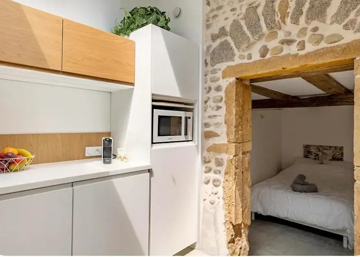 Aux Voutes De Granit - 10 Mn Lyon Apartment Pierre-Benite