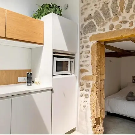 Aux Voutes De Granit - 10 Mn Lyon Apartment Pierre-Benite